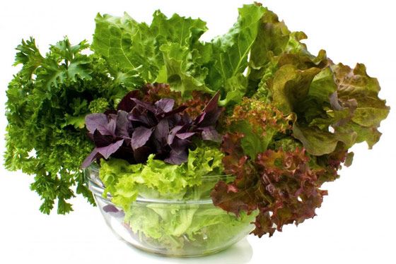 Gardez votre salade » fraîche » plus d'une semaine ! – An Nissa Magazine